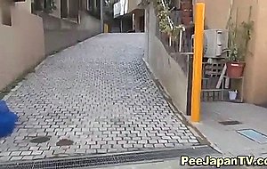 Japanese streetside piss