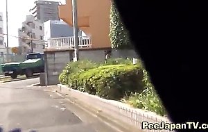 Japanese streetside piss