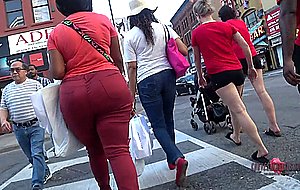 Asses from the north2018