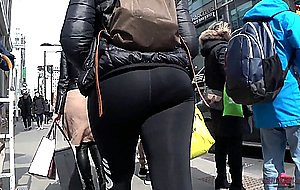Asses from the north2018