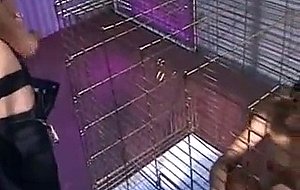 Cum Hungry Chick In A Cage