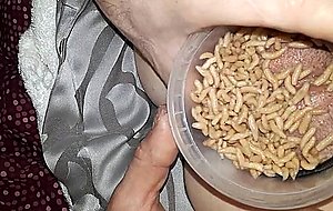 Maggots on pussu horny food  