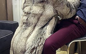 Part 1; teasing and bj in fox fur coat and lingeri