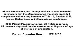 New Thug City: Supreme's Return (Pitbull Productions)