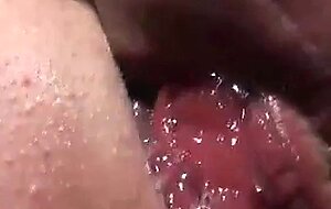 Prolapse licking